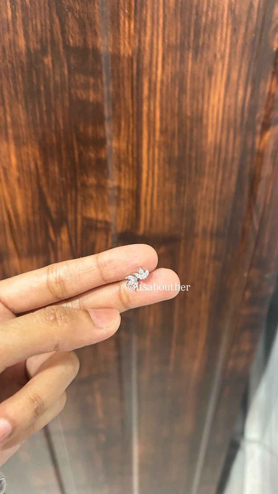 Silver Crown BallBack (Pair)