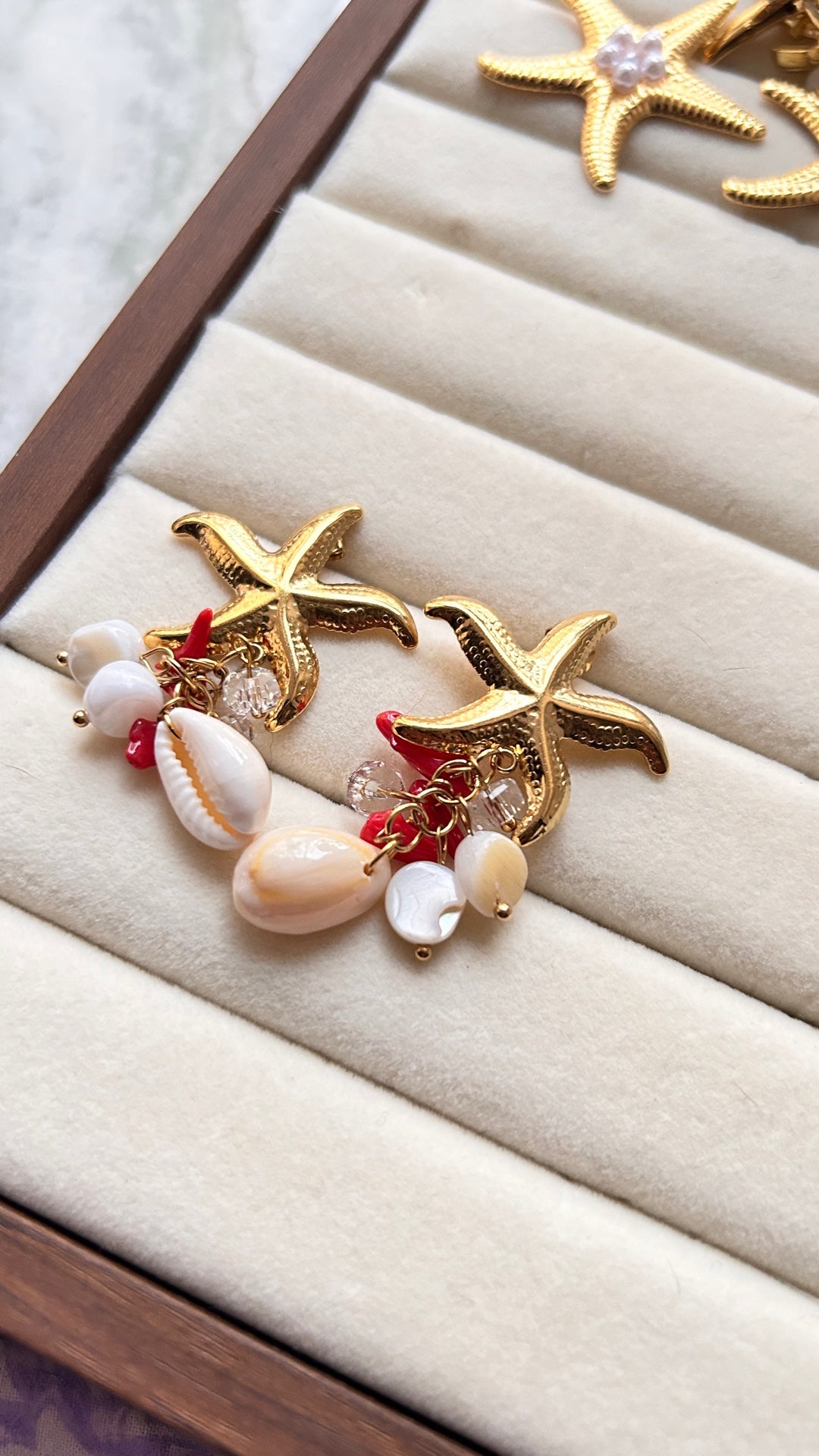 Starfish With Shells