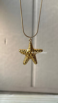 Textured Starfish
